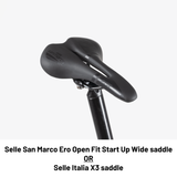Birdy GT | 10-Speed | Performance Foldable Bike