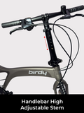 Birdy City Speed | 9-Speed | Performance Foldable Bike | Ridea Aluminium 20-inch wheelset