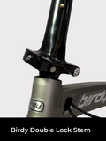 Birdy City Speed | 9-Speed | Performance Foldable Bike | Ridea Aluminium 20-inch wheelset