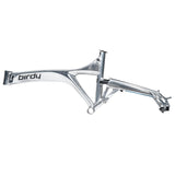 Birdy R20 in Polished Silver | 11-Speed | Performance Foldable Bike