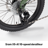 Birdy GT | 10-Speed | Performance Foldable Bike