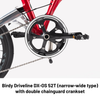 Birdy R20 | 11-Speed | Performance Foldable Bike