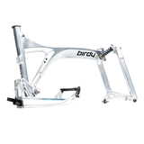 Birdy R20 in Polished Silver | 11-Speed | Performance Foldable Bike