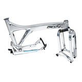 Birdy R20 in Polished Silver | 11-Speed | Performance Foldable Bike