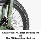 Birdy GT | 10-Speed | Performance Foldable Bike