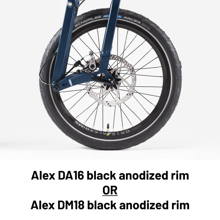 Birdy Rohloff | 14-Speed | Performance Foldable Bike – Birdy Bicycle