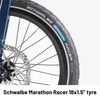 Birdy Rohloff | 14-Speed | Performance Foldable Bike