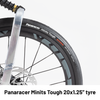 Birdy R20 | 11-Speed | Performance Foldable Bike