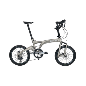 (New Launch!) Birdy Ultegra 20 | Powered by Shimano Ultegra | 11-Speed | Performance Foldable Bike