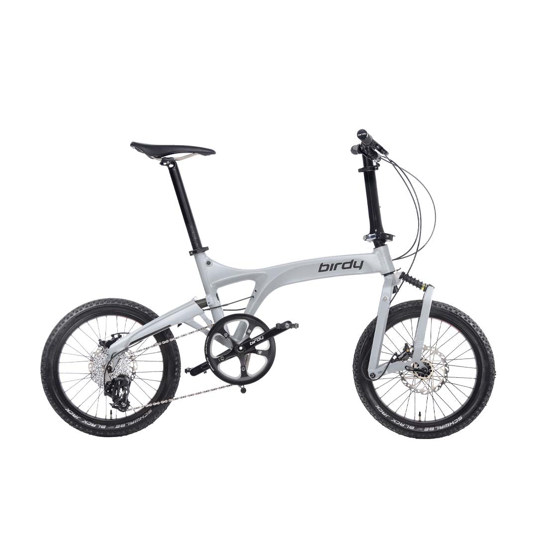 Birdy Gravel | 10-Speed