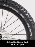 Birdy Gravel | 10-Speed | Performance Foldable Bike