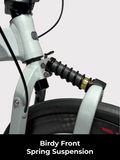 Birdy R20 Ultra | 11-Speed | Performance Foldable Bike | Ridea Carbon 20-inch wheelset