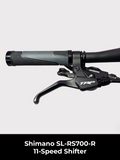 Birdy R20 Ultra | 11-Speed | Performance Foldable Bike | Ridea Carbon 20-inch wheelset