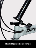 Birdy R20 Ultra | 11-Speed | Performance Foldable Bike | Ridea Carbon 20-inch wheelset