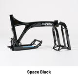 Birdy Rohloff | 14-Speed | Performance Foldable Bike