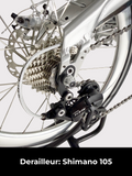 Birdy (NEW LAUNCH) BIRDY UD20 |  Special Silver Edition 11-Speed Shimano 105 | Performance Foldable Bike