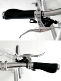 Birdy (NEW LAUNCH) BIRDY UD20 |  Special Silver Edition 11-Speed Shimano 105 | Performance Foldable Bike